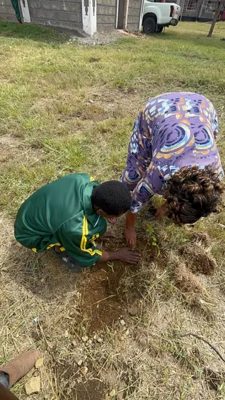 Learners planting seedlings in the school grounds