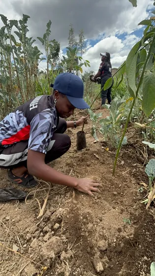 A learner plants a tree seedling