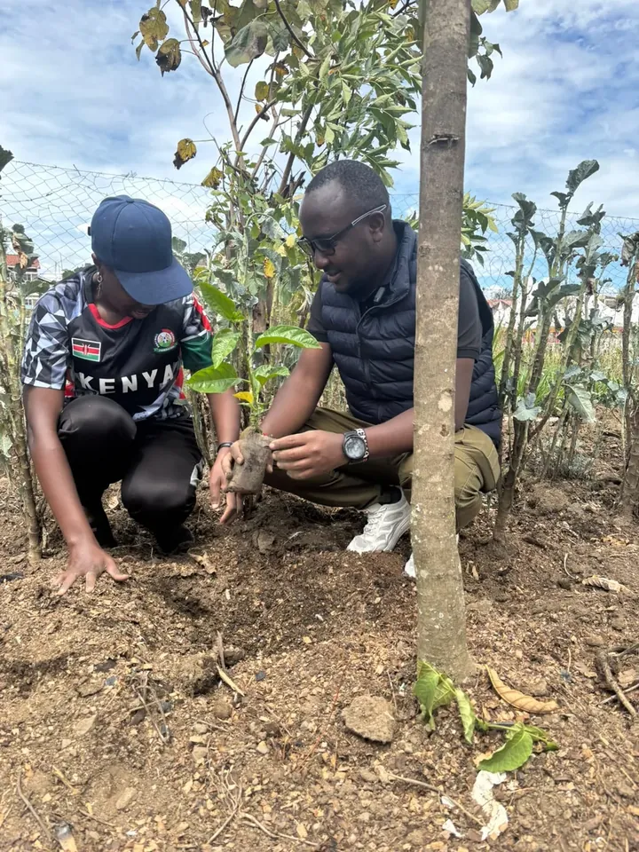 A member and a learner planting a seedling together